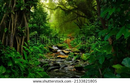 Tropical jungles  of Southeast Asia