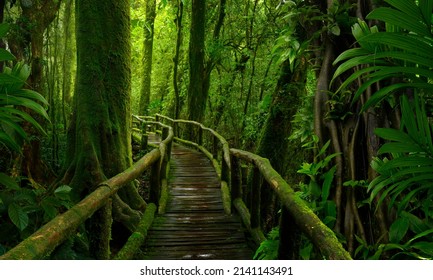 2,748,140 Jungle natural Images, Stock Photos & Vectors | Shutterstock