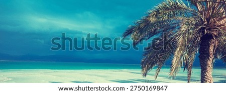 Tropical landscape with dramatic sky. Dead Sea shore. Palm trees on the beach. Ein Bokek, Israel