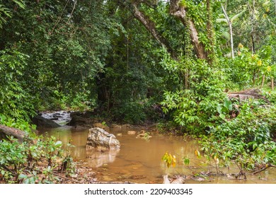 Tropical Landscape With A Muddy River Going Through Dark Rainforest. Samana, Dominican Republic