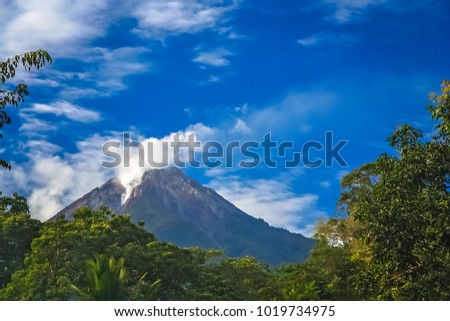 Similar – Image, Stock Photo jungles Virgin forest