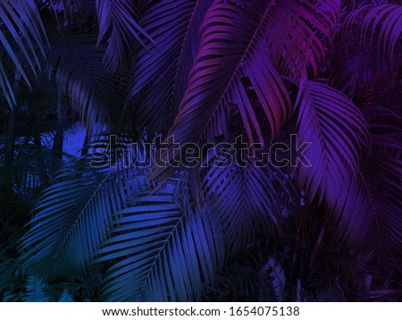 tropical leaf summer background with blue and purple party glow colors, exotic jungle palm tree leaves toned 
