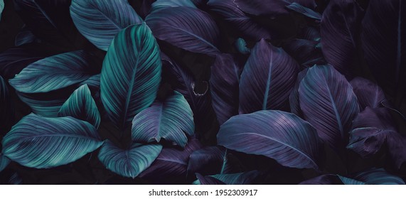 Tropical Leaves, Abstract Green Leaves Texture, Nature Background