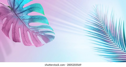 Tropical leaves in bright creative pink and blue colors. Minimalistic background concept art.
