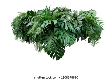 Tropical leaves foliage plant jungle bush floral arrangement nature backdrop isolated on white background, clipping path included. - Shutterstock ID 1108898990