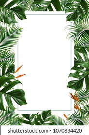 Tropical Leaves Frame Isolated On White Background.