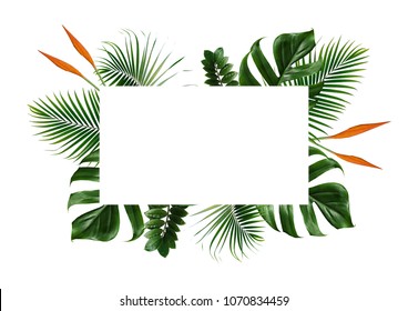 Tropical Leaves Frame Isolated On White Background.