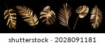 Tropical leaves gold and black, can be used as background(Monstera,palm,coconut)fernclipping path