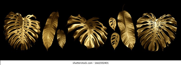 Tropical Leaves Gold And Black, Can Be Used As Background