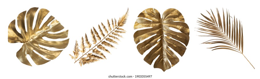 Tropical Leaves In Gold Color On White Space Background.Abstract Monstera Leaf Decoration Design.clipping Path