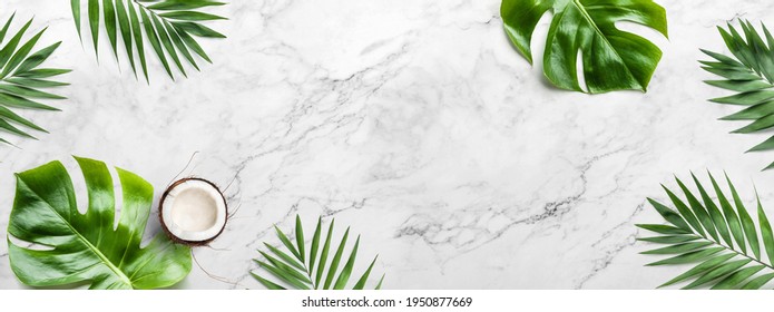 Tropische Blätter, Monstera-Pflanzen und Kokosnuss auf hellem Marmor-Hintergrund. Sommerkonzept, flache Lage, Draufsicht