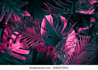 Tropical leaves in neon colors on black background - Powered by Shutterstock