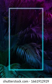 Tropical Leaves With Neon Frame For Background, Palm Leaves In Blue And Purple Gradient