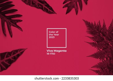Tropical leaves on Viva magenta color background. Botanical nature color of the year 2023. - Shutterstock ID 2233835303
