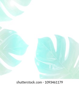 Tropical leaves of pastelcolor on white background with copy space. Minimalist summertime concept.