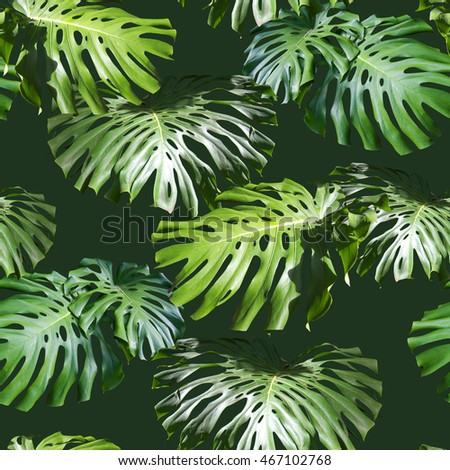 Tropical leaves pattern. Green leaf monstera seamless. Artistic photo collage for floral print. With soft focus effect