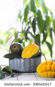 Tropical Mango Fruit In Basket With Leaf On Wooden Table With Mango Garden On Background