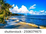 Tropical mexican caribbean beach landscape panorama with clear turquoise blue water and palm trees palms tree in Playa del Carmen Mexico.