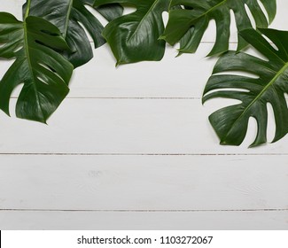 Tropical Monstera Leaves On Edge Of White Painted Table With Room For Custom Text. Flat Lay Layout. 