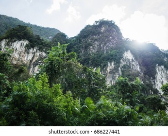 Tropical Mountain Stock Photo 686227441 | Shutterstock