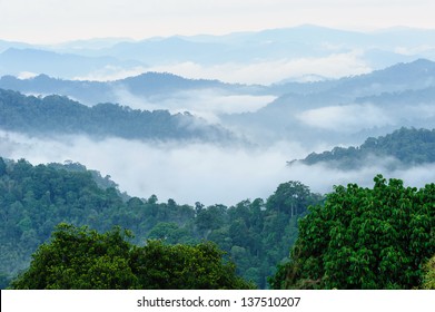 Tropical Mountain Mist In Thailand