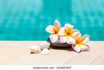 Tropical nature concept background, Plumeria flower on the stone with seashell over blurred blue water, summer outdoor day light