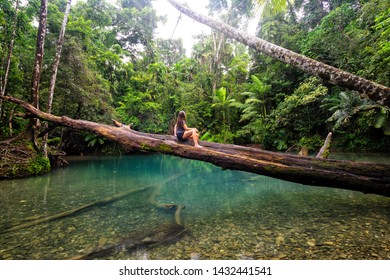 Tropical North Queensland Landscape, Australia