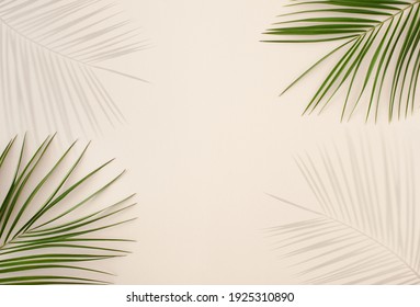 Hojas de palmera tropicales y sombras sobre beige pastel  color  de fondo  Concepto mínimo de verano con hojas de palmera y sombras de luz solar 
