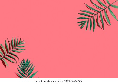 Tropical palm leaves from above - flat lay - Shutterstock ID 1935265799
