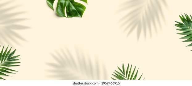 Tropical palm leaves, Monstera leaf and shadows plant on light background. Minimal Summer concept, flat lay, top view