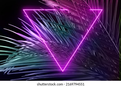 Tropical palm leaves and neon triangle on dark background, closeup - Powered by Shutterstock