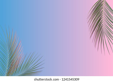Tropical palm leaves on a pink and blue background for designs. Summer Styled. High quality image. Top view - Shutterstock ID 1241545309