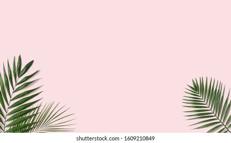 Tropical palm leaves pink