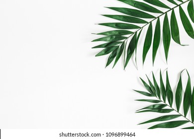 Tropical palm leaves on white background. Summer concept. Flat lay, top view, copy space - Shutterstock ID 1096899464