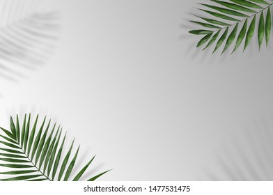 Creative Layout Made Colorful Tropical Leaves Stock Photo 1074927038 ...