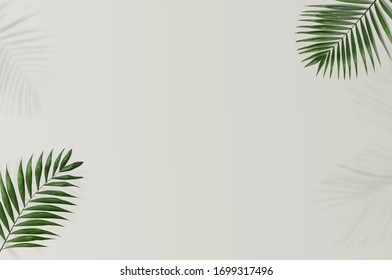 Tropical palm leaves on a white and grey background for designs. Summer Styled. High quality image. Top view