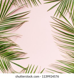 Hojas tropicales palma Fénix
