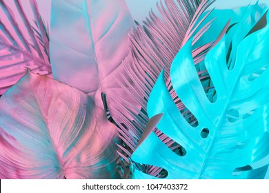 Tropical and palm leaves in vibrant bold gradient holographic colors. Concept art. Minimal surrealism. - Shutterstock ID 1047403372