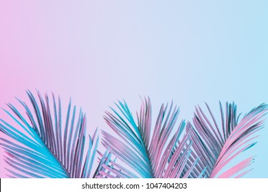 Tropické a palmové listy v zářivých holografických barvách gradientu. Koncepční umění. Minimální surrealismus.