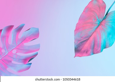 Tropical and palm leaves in vibrant bold gradient holographic neon  colors. Concept art. Minimal surrealism background. - Shutterstock ID 1050344618