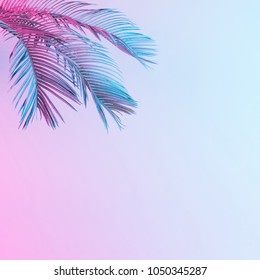 Tropical And Palm Leaves In Vibrant Bold Gradient Holographic Neon  Colors. Concept Art. Minimal Surrealism Background.