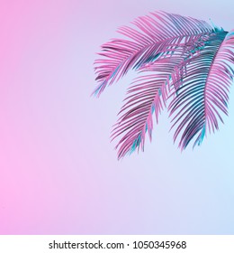 Tropical And Palm Leaves In Vibrant Bold Gradient Holographic Neon  Colors. Concept Art. Minimal Surrealism Background.