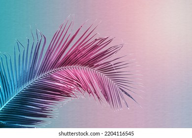 Tropical and palm leaves in vibrant gradient background. Trendy neon colors minimalist style. - Shutterstock ID 2204116545