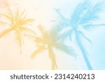 Tropical Palm Tree background - soft pastel summer color. vintage retro tones