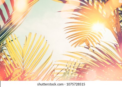 Tropical palm tree with colorful bokeh sun light on sunset sky cloud abstract background. Summer vacation and nature travel adventure concept. Vintage tone filter effect color style.