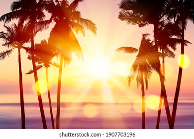 Tropical Palm Tree On Sunset Beach Abstract Background. 