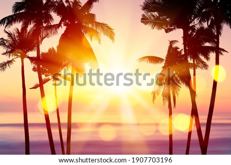 Tropical palm tree on sunset beach abstract background. 