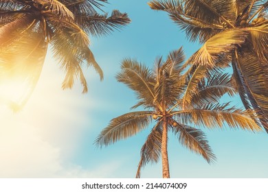 38,181 Relaxing palm springs Images, Stock Photos & Vectors | Shutterstock