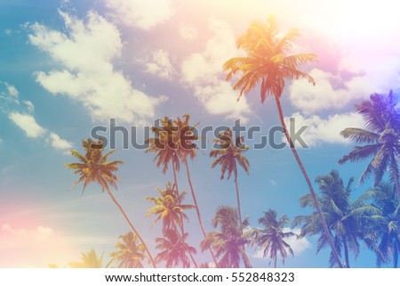 Tropical palm trees at sunny summer day vintage color toned and film light leaks retro stylized Stock foto © 