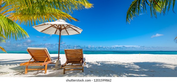 Tropical paradise beach with white sand and coco palms travel tourism wide panorama background. Luxury vacation and holiday banner, tropical beach resort concept. Beautiful beach design